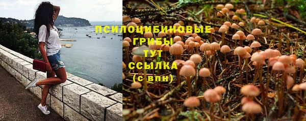 тгк Алексин
