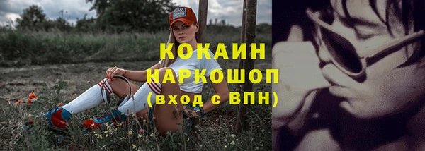 тгк Алексин